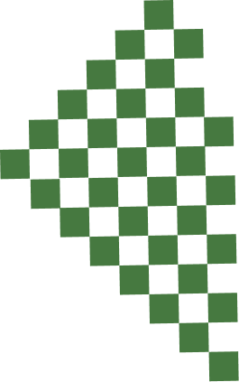 Checked Pattern Top Right